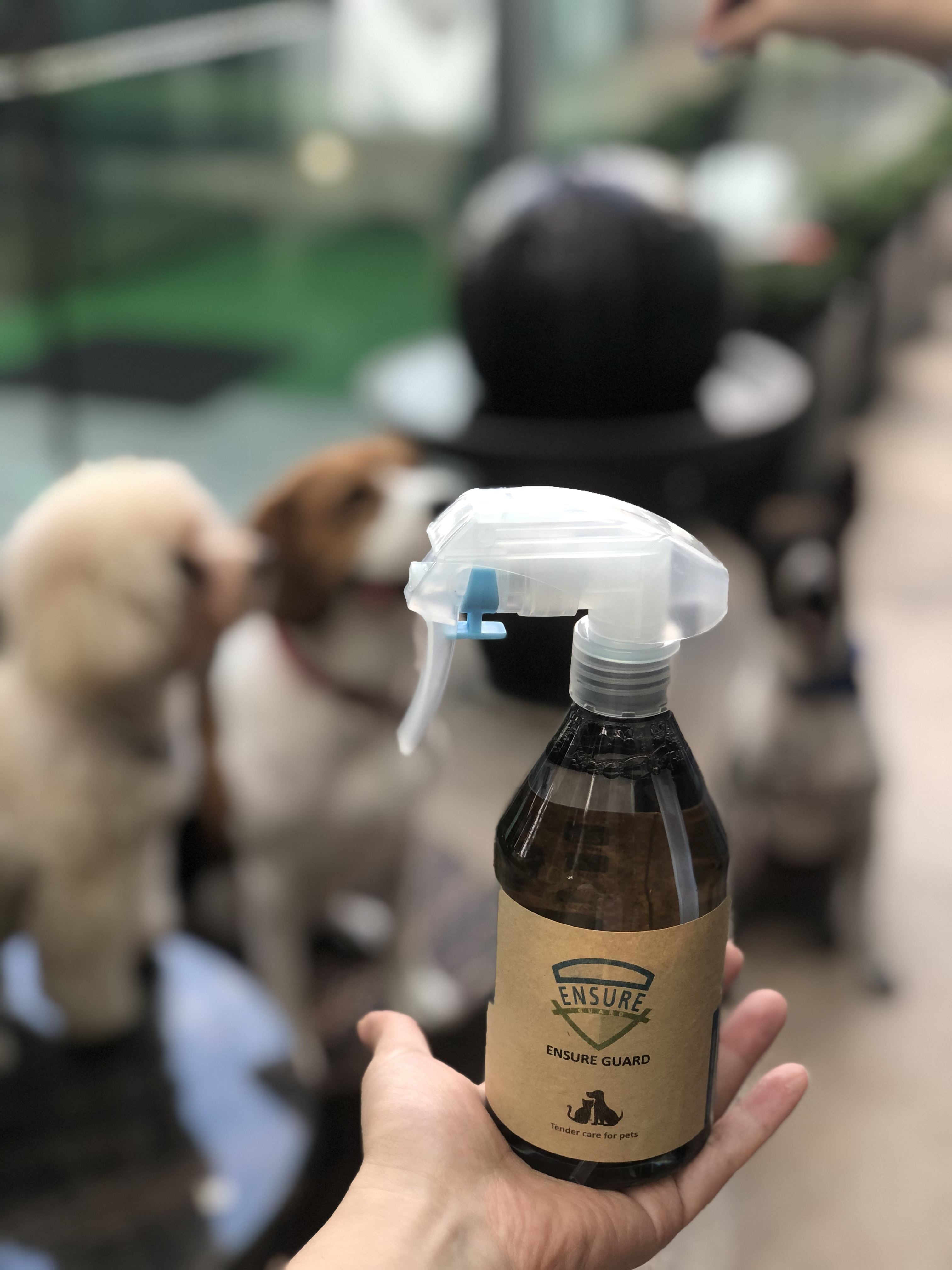 300ml Refillable Spray Bottle - Tender Care for Pets